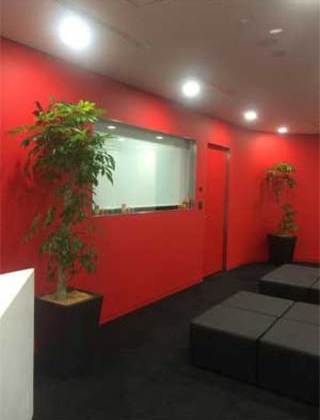 港区のオフィスへの観葉植物の設置事例サムネイル